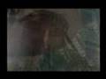 Translucent Reflections (16mm experimental film)