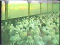 A Grand Sufi Zikr and  Mawlid in Jeddah, Saudi Arabia