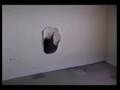comedy40 afv comedy