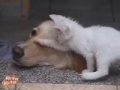 Best Friends