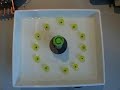 Ferrofluid with Corn Circles