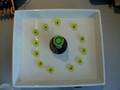 Ferrofluid with Corn Circles