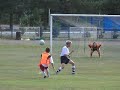 Folga Gol Folga Gol