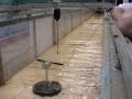 Flume filling for a turbine test.