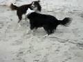 Georgia & Tex At The Beach