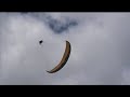Paravid-Acro even more Dano action