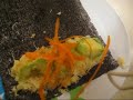 I Attempt Raw Veggie Rolls I Attempt Raw Veggie Rolls