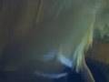 videos de Video 2