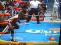 Lucha Libre en México, Hijo del Santo