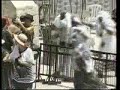 Trouble in Jerusalem