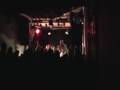 A FOREST- LADIES STARDUST- VIVO