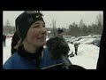 Draghunds EM 2008 Skellefte�