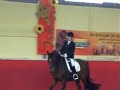 E-Dressur Philippsburg E-Dressur Philippsburg