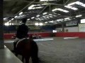 E-Dressur Philippsburg