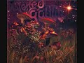 Distorted Goblin - Magnetic Flux