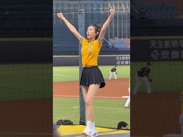 【Passion Sisters】#貴貴#詹子賢應援曲#台湾チアリーディングチーム#中華職棒#CPBL#洲際#20240927