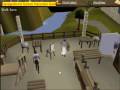 Runescape