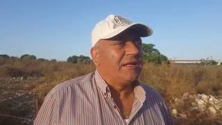 البروفيسور مصطفى كبها - مقبرة قرية قنير المهجرة في أرض الروحة