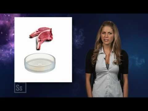 Producing MEAT not from an animal ?? | NepaKlick