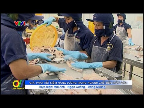 Giải pháp tiết kiệm năng lượng trong ngành chế biến thủy sản 
