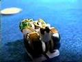 Micro Robot