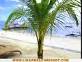 Linaw Bohol Beach Resort and Restaurant - Alona, Panglao Isl