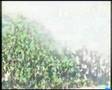 The talent of football (Gaetano Grieco)