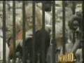 9/11 American National Anthem Buckingham Palace