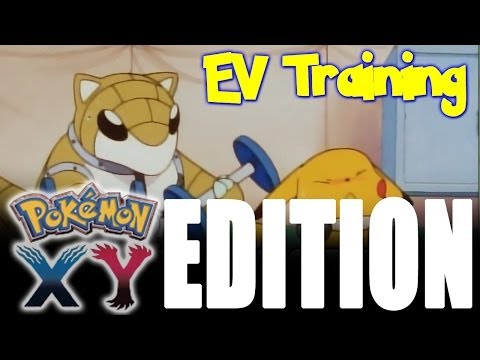 how to train ev pokemon x