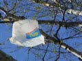 plastic bag pollution in the forest plastic bag pollution in the forest