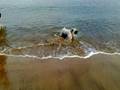 DONNA bañándose en la playa de Poniente