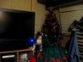 videos de Kitty in Christmas Tree Bubba