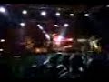 Pitty-Umbrella 2