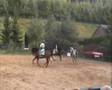 El caballo español