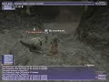 The Puck FFXI Beasmaster The Puck FFXI Beasmaster