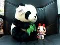 eating bamboo contest panda and powerpuffgirl blosom