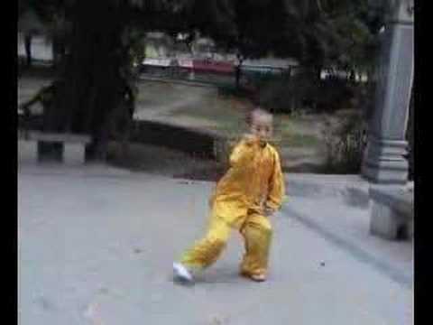 Student of Wang Xian Xinjia Yi Lu