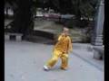 Student of Wang Xian Xinjia Yi Lu