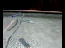 WEBKINZ DRIVE CAR INTO POOL!!!!!!!!!! PART 2