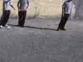 videos de DB Junior