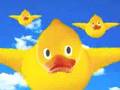 Birthday-quackers