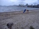 Dalmo Veras Demo Dalmo Veras Demo