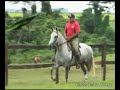 Belina, a Selva Morena MMarchador mare