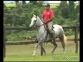 Belina, a Selva Morena MMarchador mare