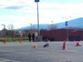 videos de Drew Racing the 2008 Cobalt