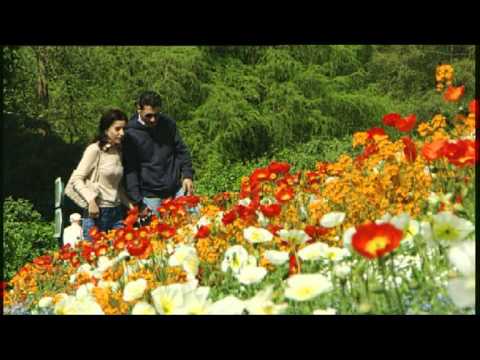 Смотреть видео