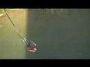 Jauntal Bungy Complete Jauntal Bungy Complete