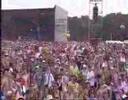 RHESUS VEILLES CHARRUES 2006 SHOOTING STAR