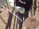 Northwest Lineman College