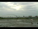 2008年度関西大学映画研究部上映会作品予告「おたまじゃーの愛と記憶」編